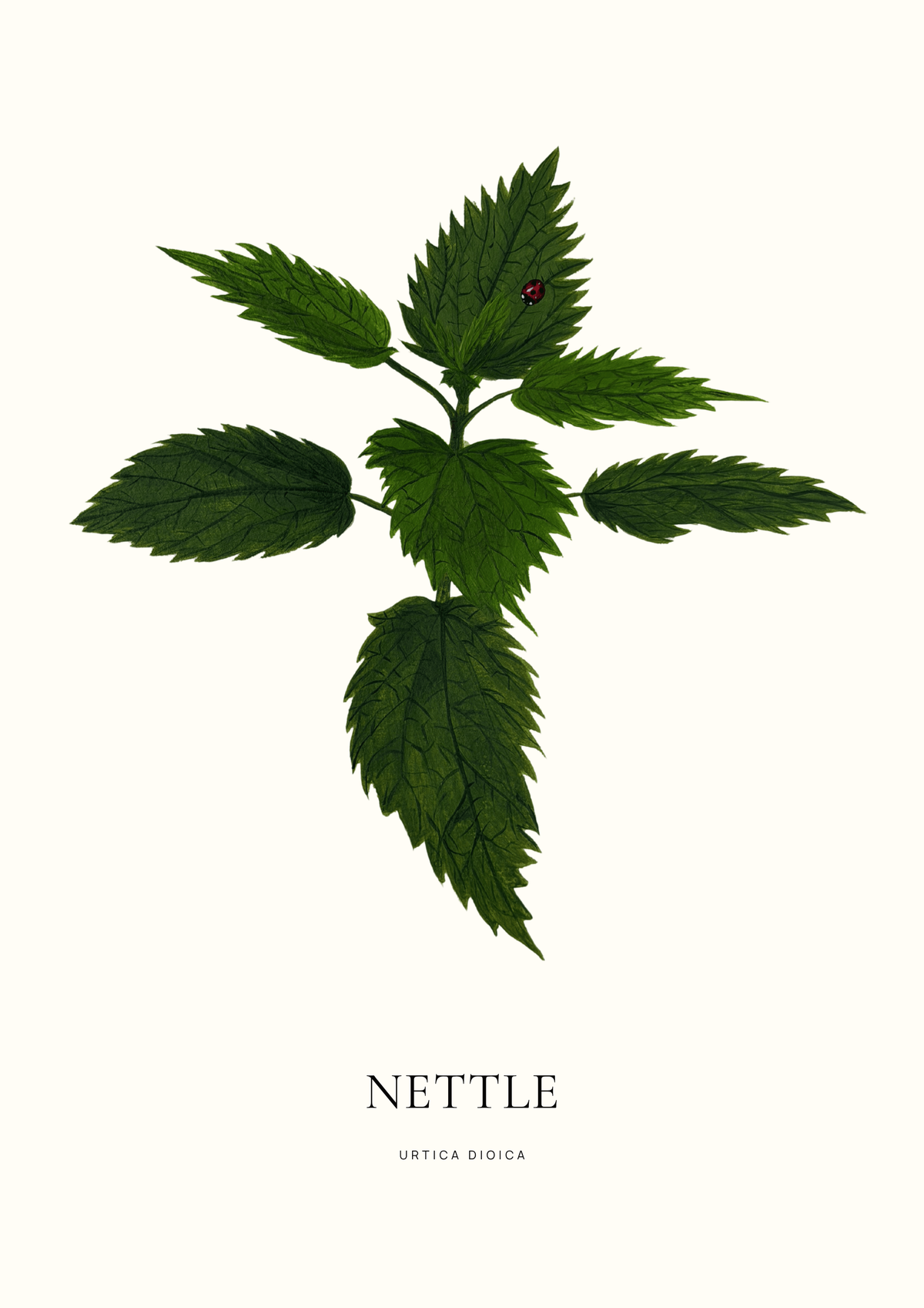 A5 Botanical Prints