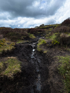 Peat & Moss